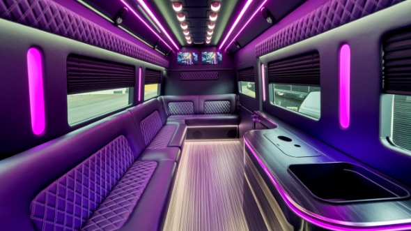 roswell sprinter limo rental interior
